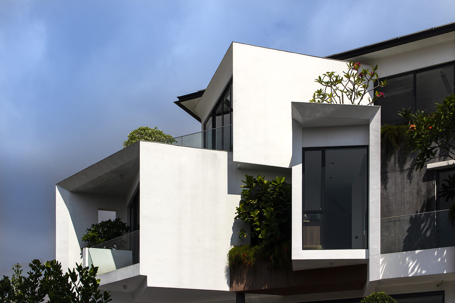 aamer-architects-frankel-drive-tropical-avant-garde-bungalow-5